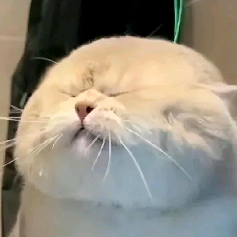星星✨