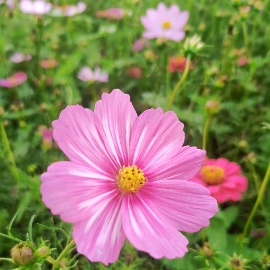 ꧔ꦿ᭄💞往后余生꧔💞