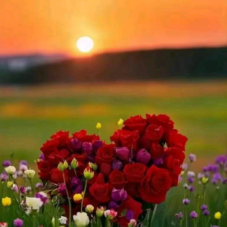 ⛑️都花🌸