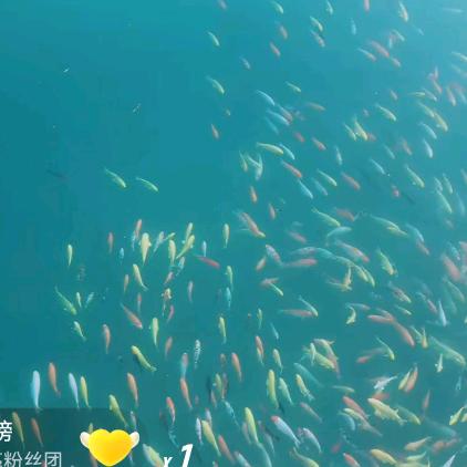 今生不再错过你