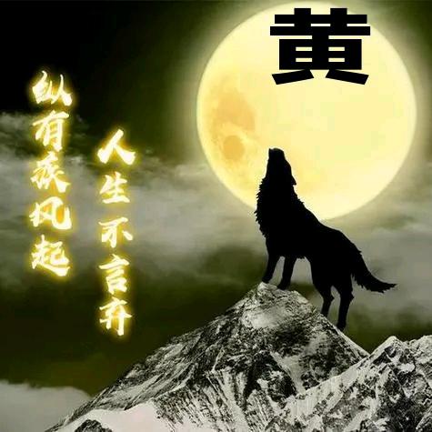 哥 叼烟闯天下】