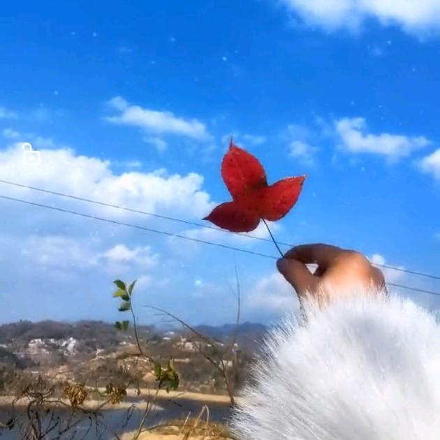 💞ꦿ᭄梅花ღ淚᭄