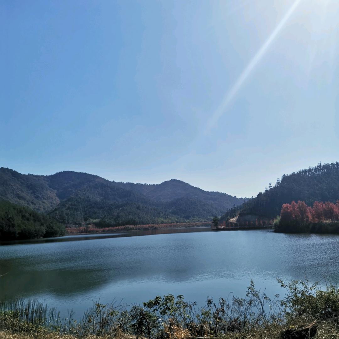 换个角度看世界