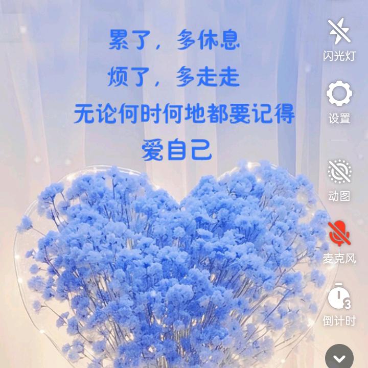 米兔兔╮