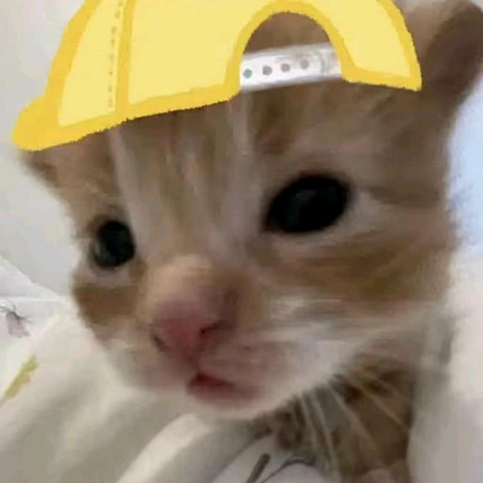 我的刘海可不齐