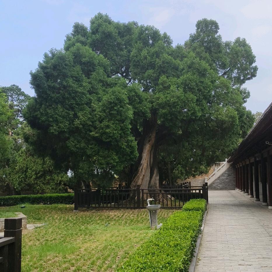 陈宗儒律师(平民律师)