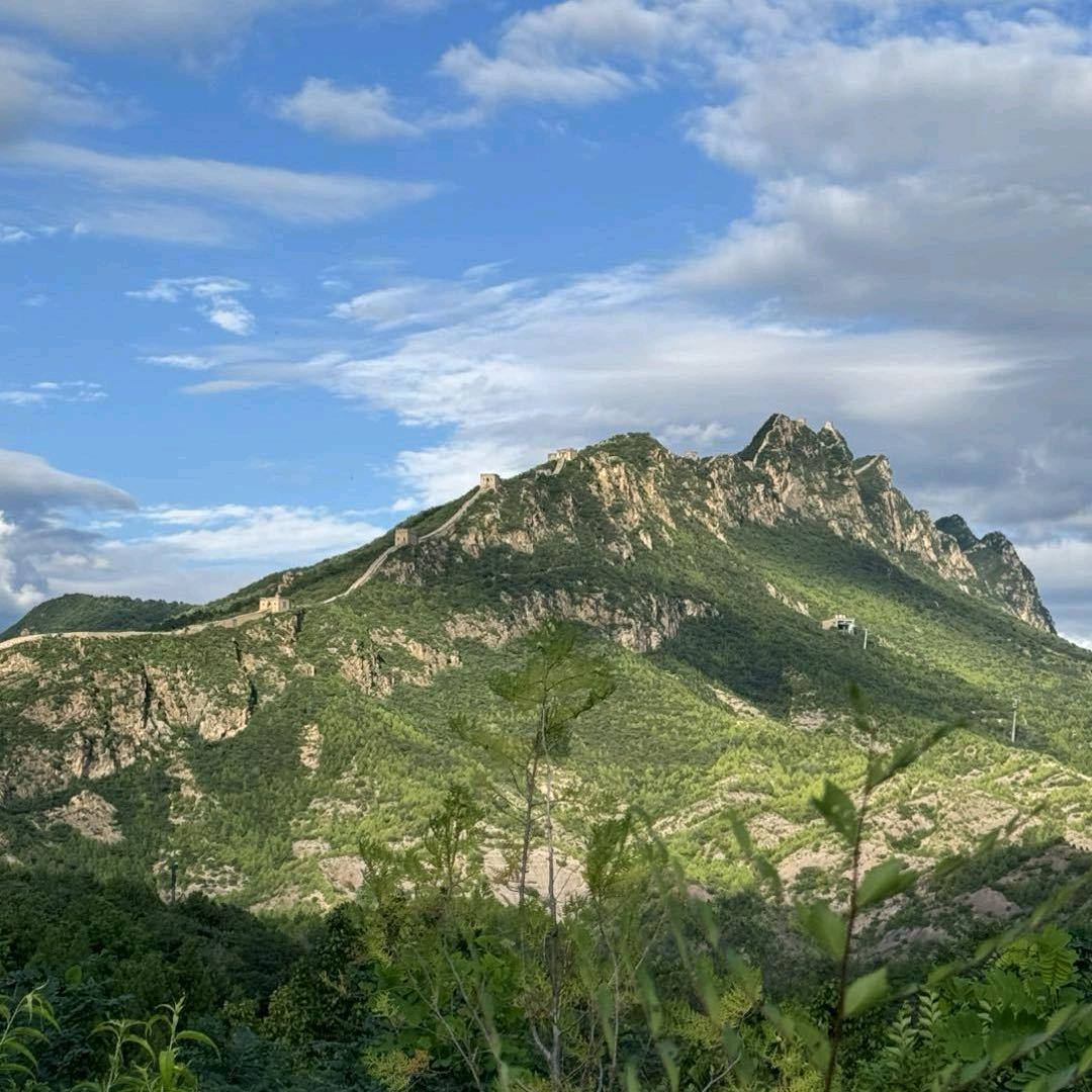 赵庆涛