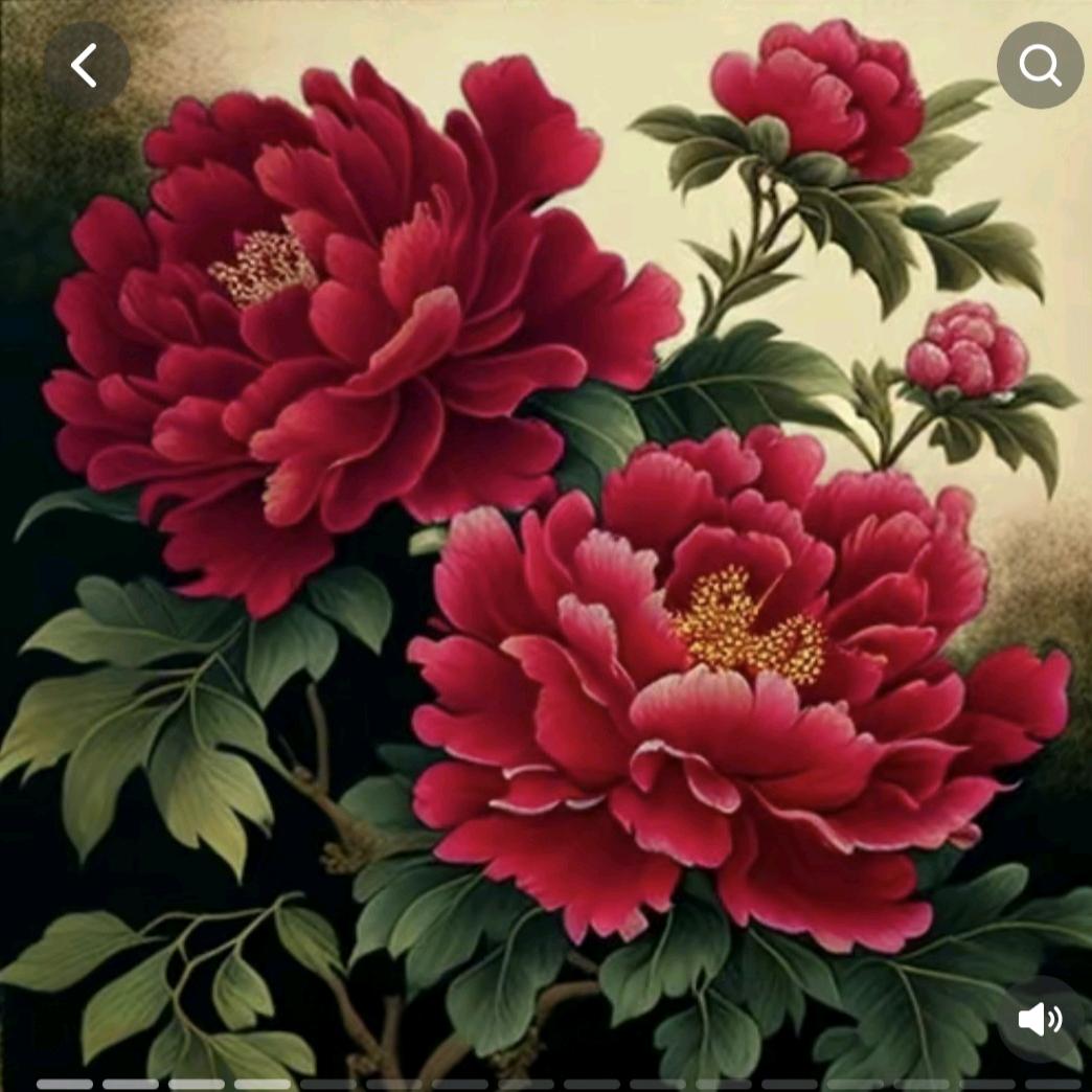 花开富贵，好运到家🌹🌻🌷