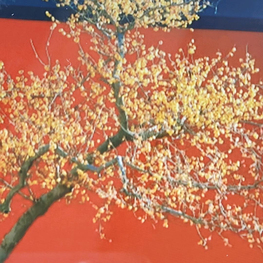 毅然决然