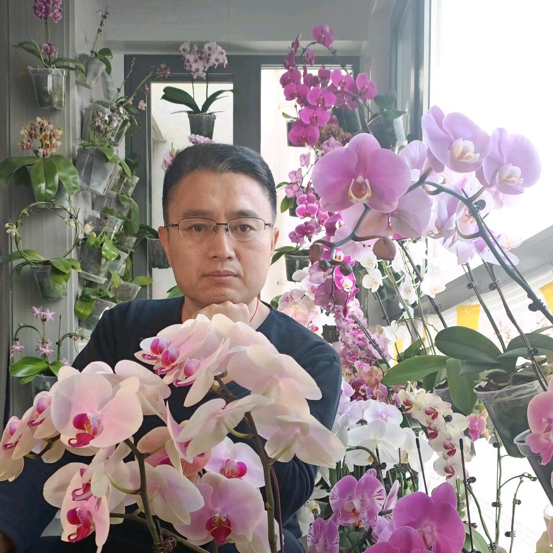 乌金哥（19:30 首播）