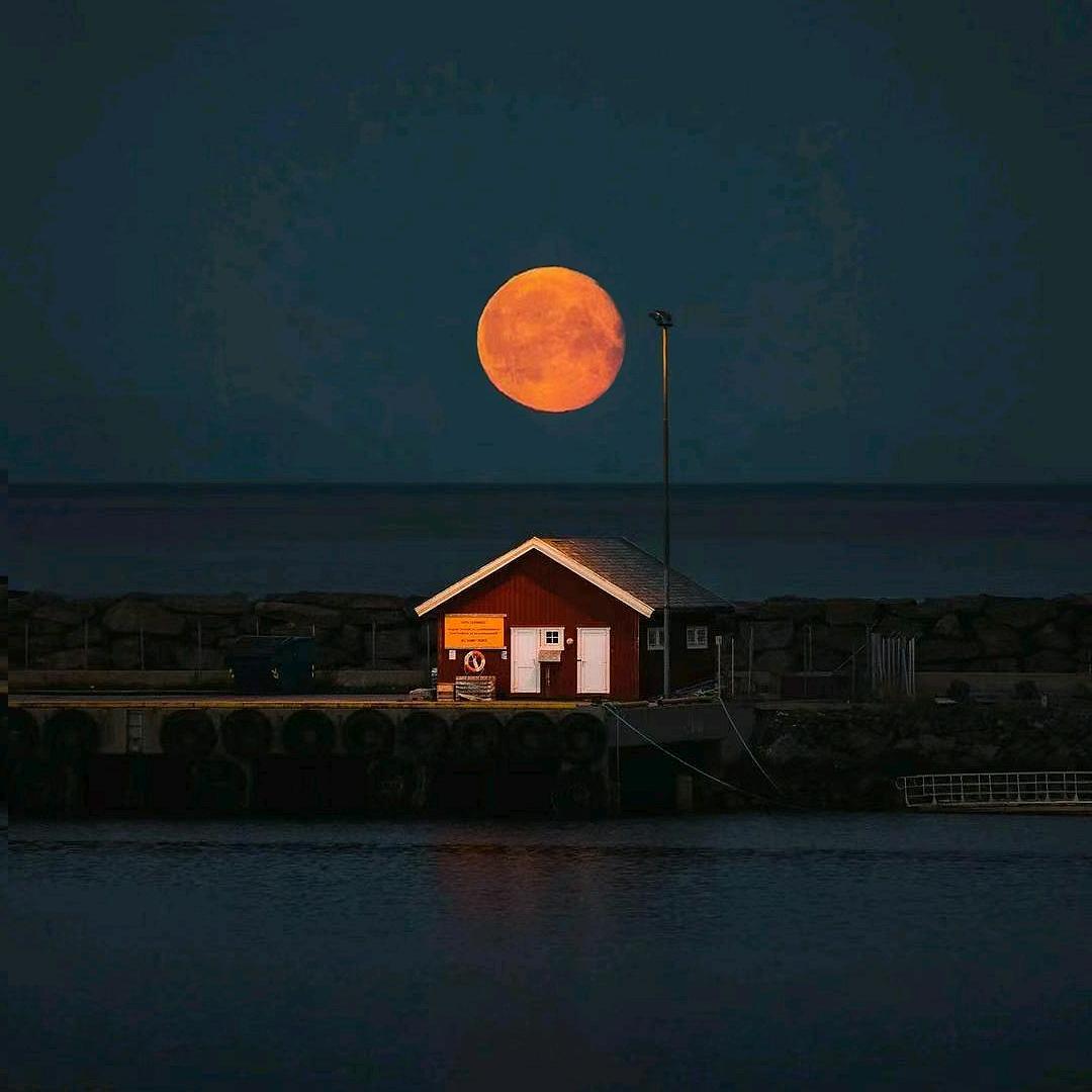 非一涂涂画画。