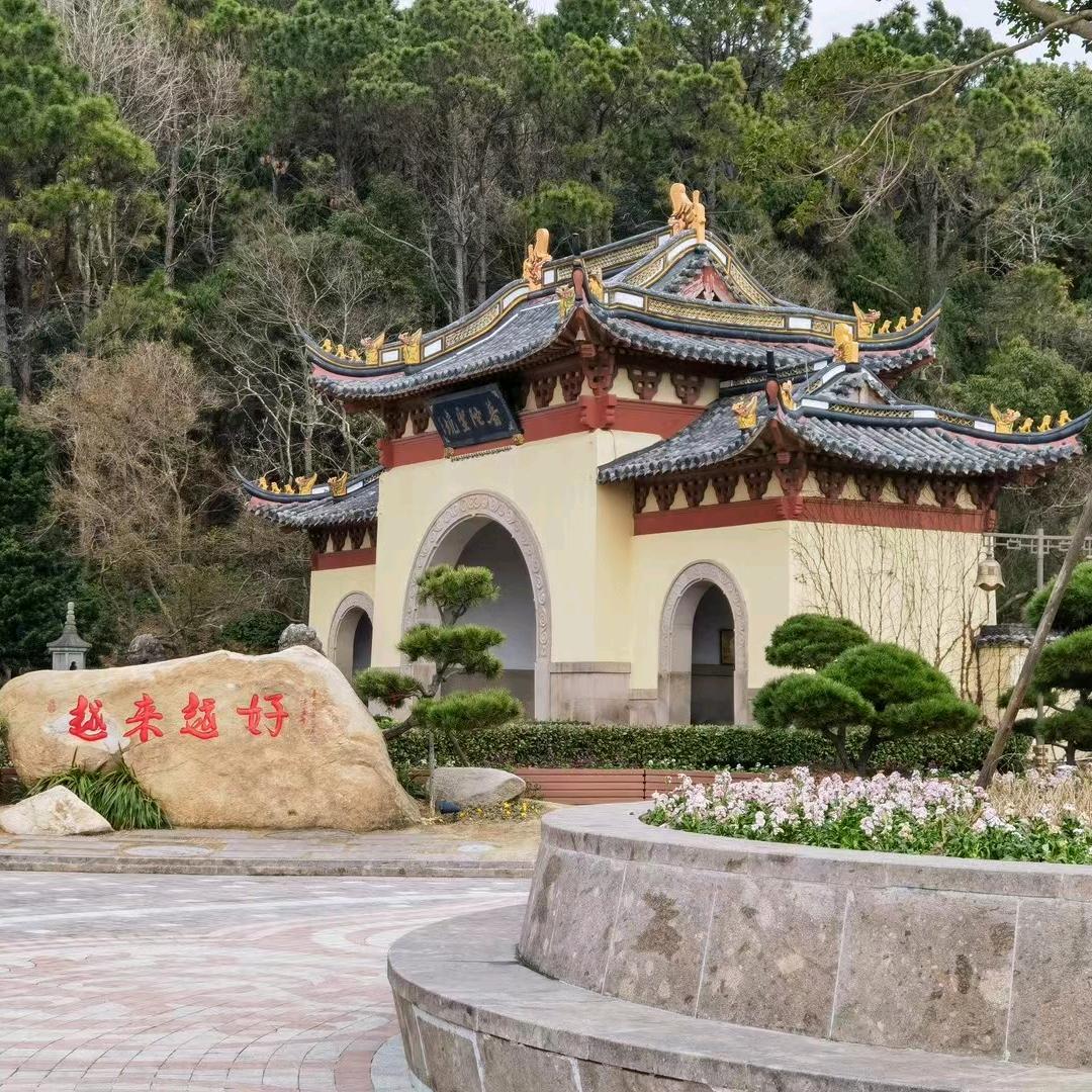奔跑的野马