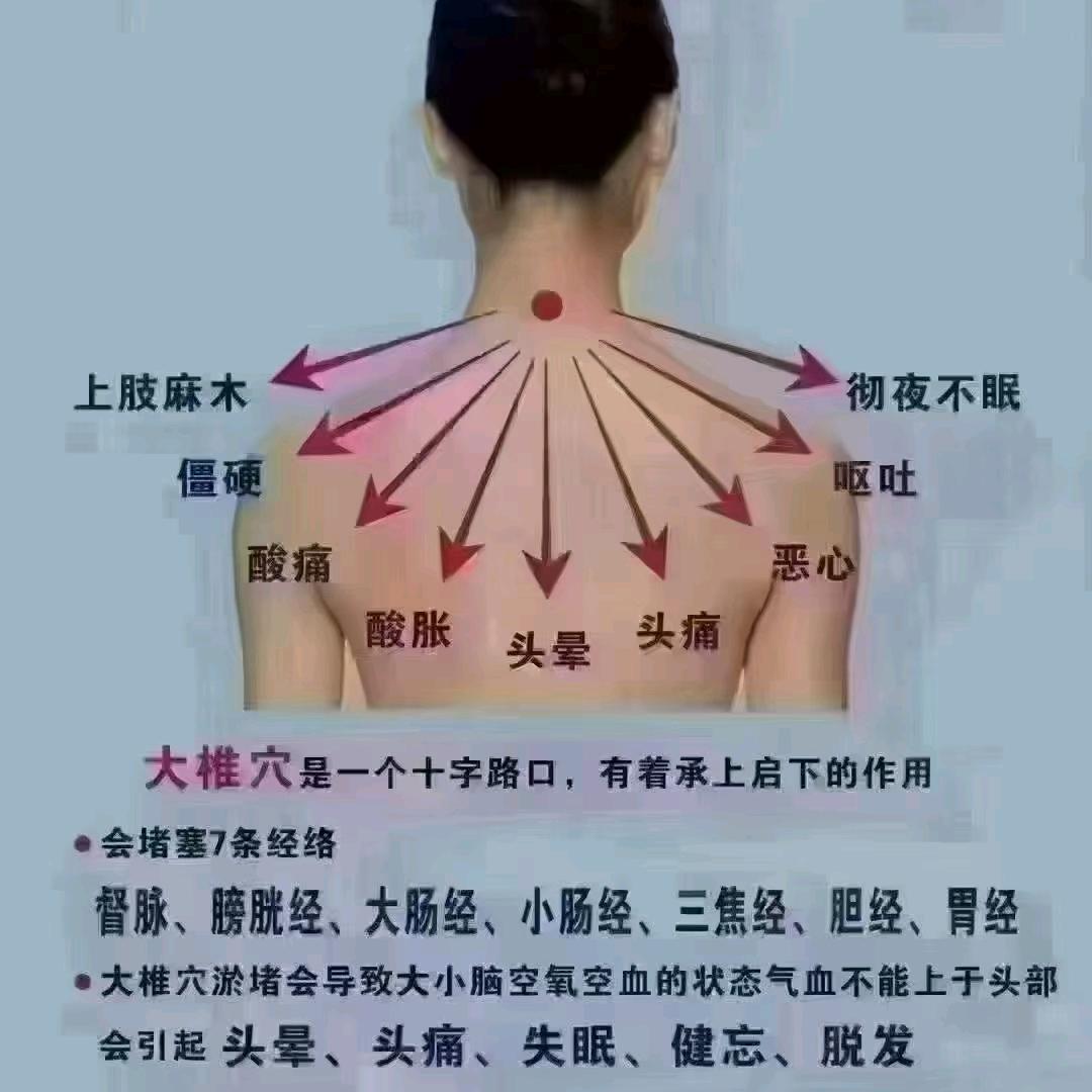 小洋洋女神