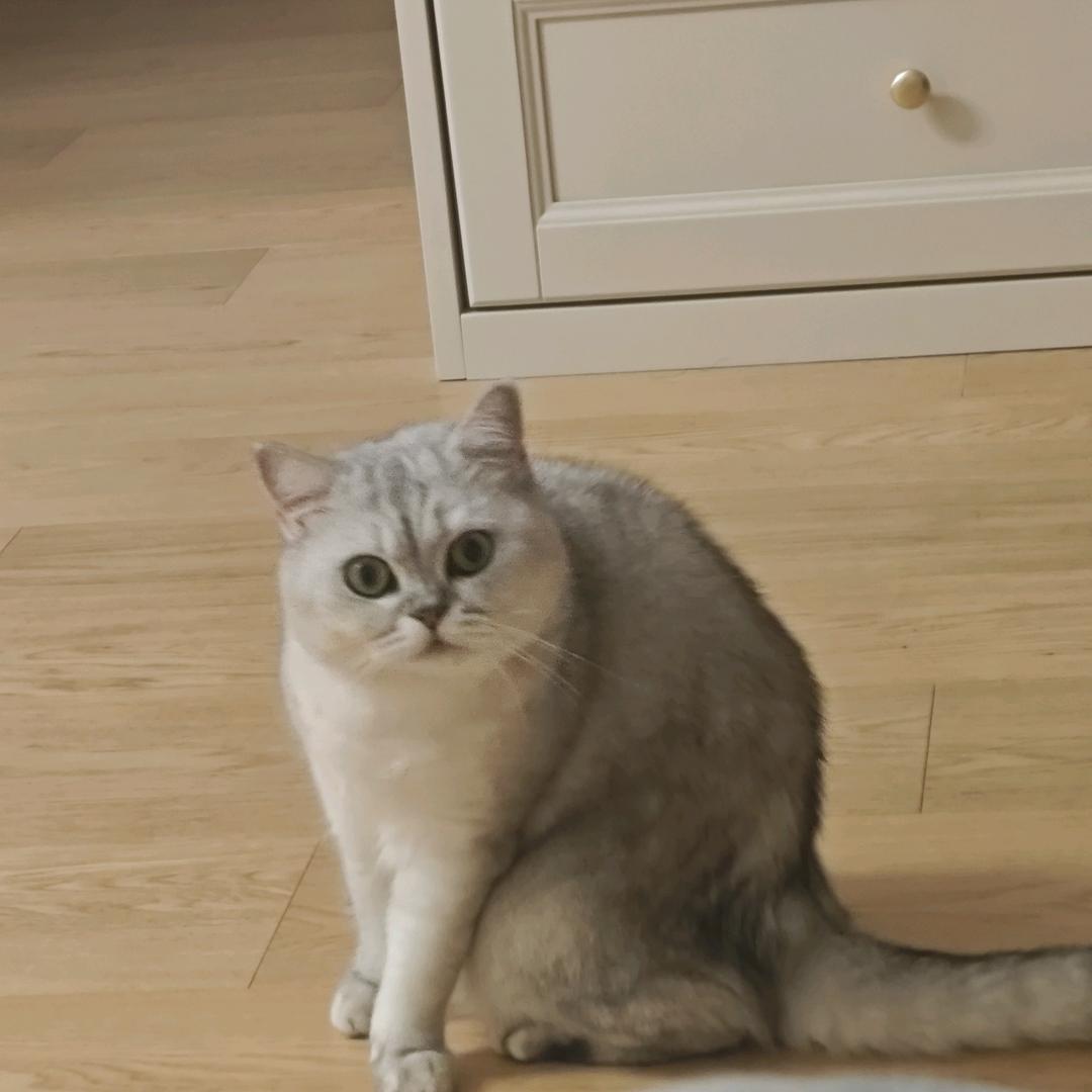 逐光屿（南昌长沙站被十个勤天饭撒版）