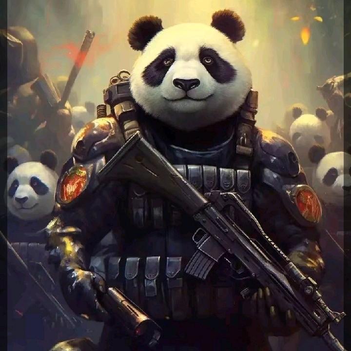 小宝