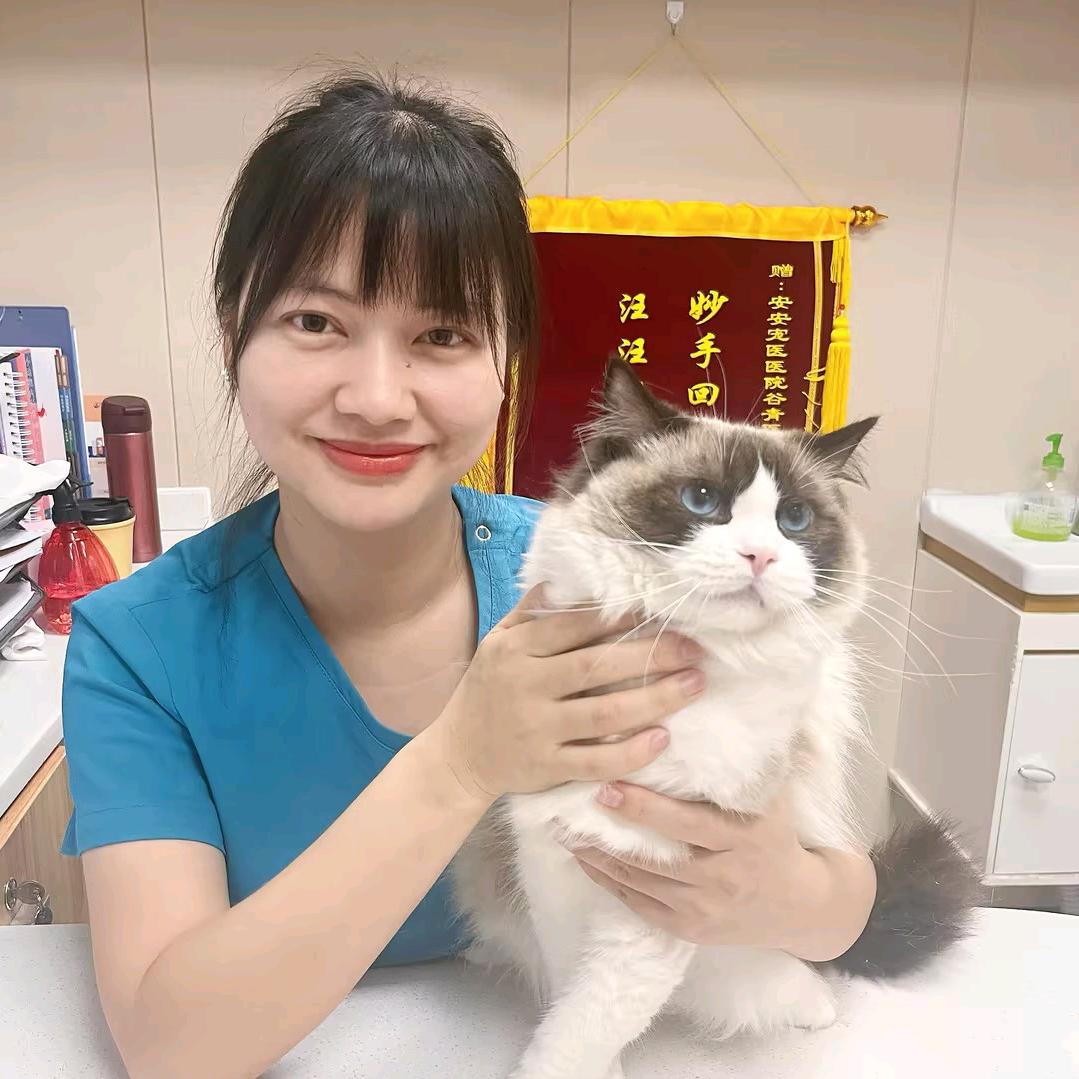（宠医）Lisa谷