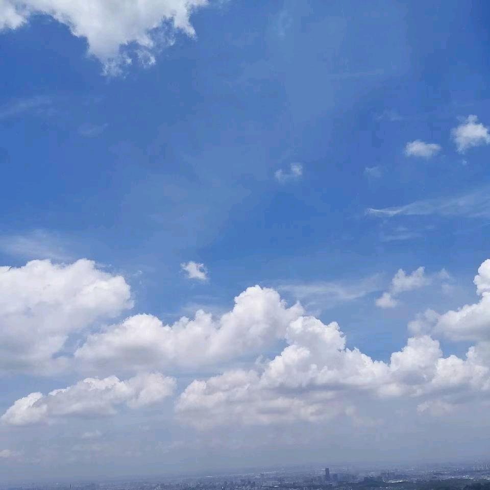 繁缕缕