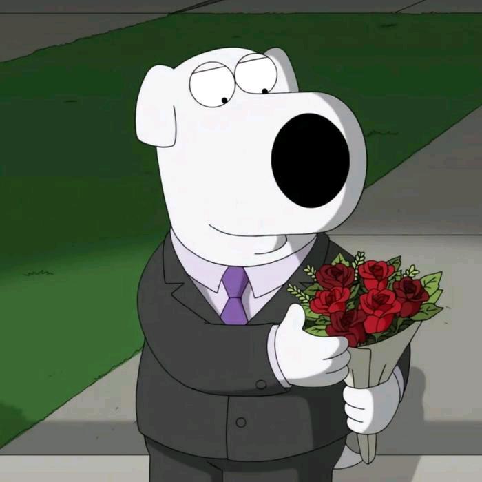 散白.（求回关）