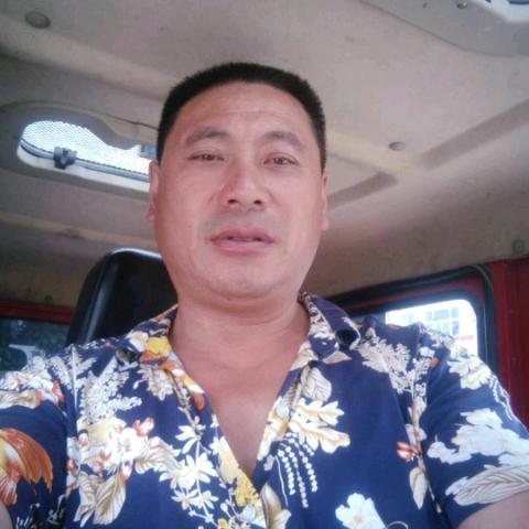 仅限观赏