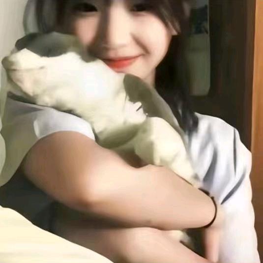 凹凸曼👀