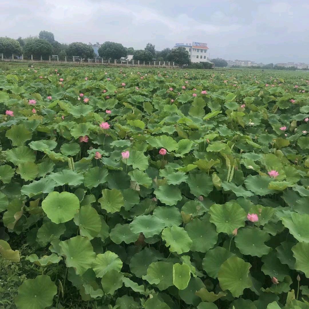 ಇ᭄一个人࿆ྃ看海࿐