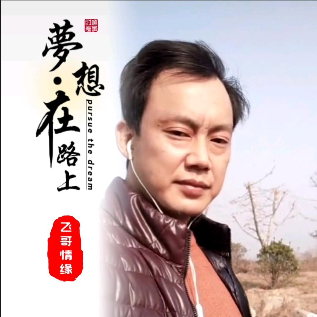 飞哥情缘