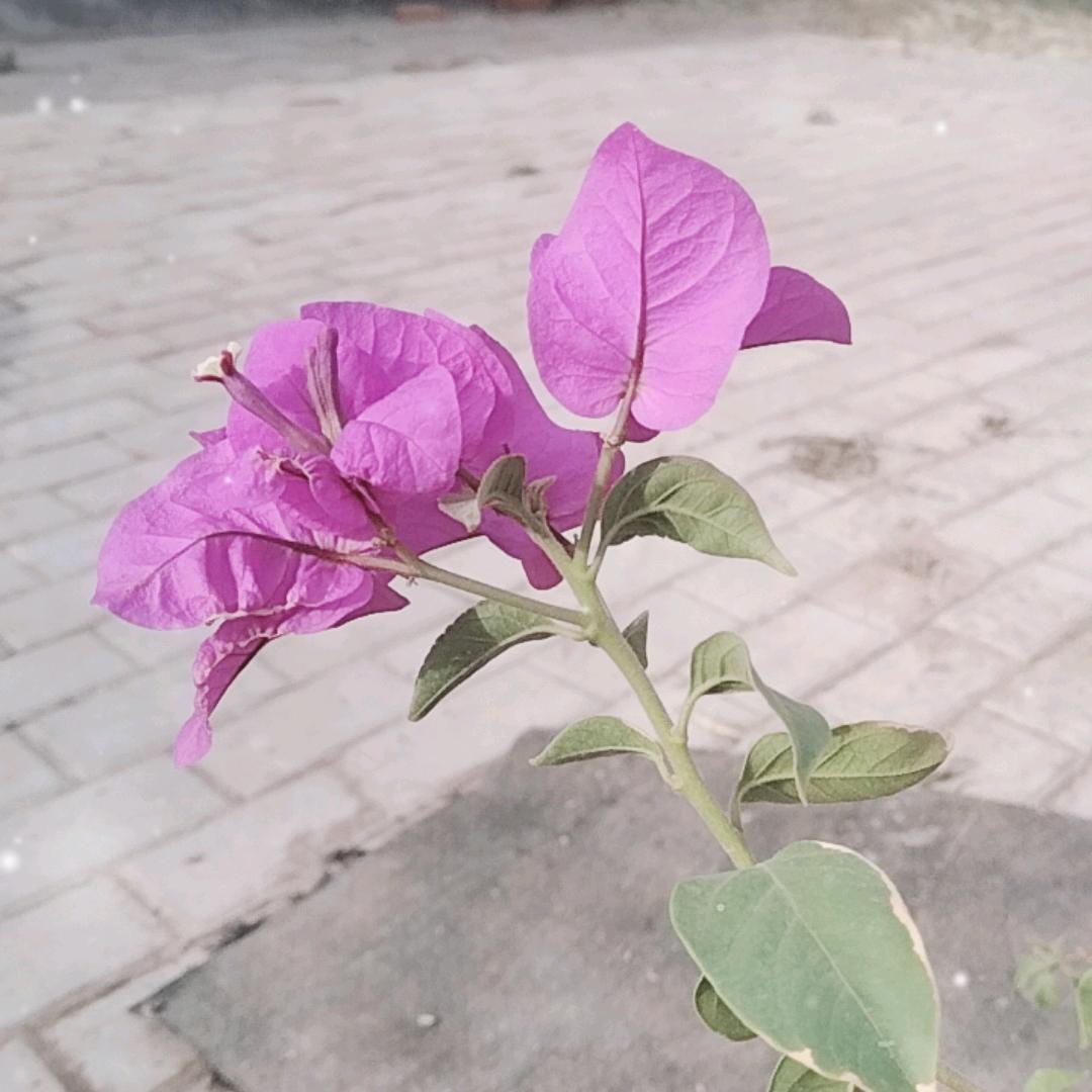 蓝天白云