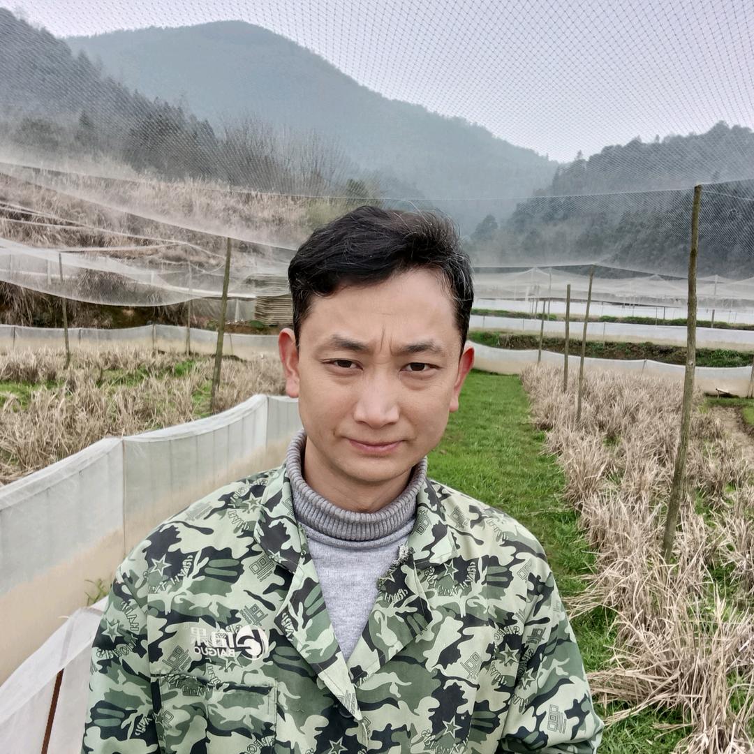 蛙农鹏仔