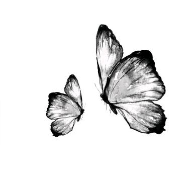 LiiLi