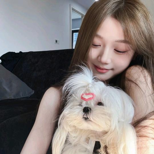 今天开心嘛