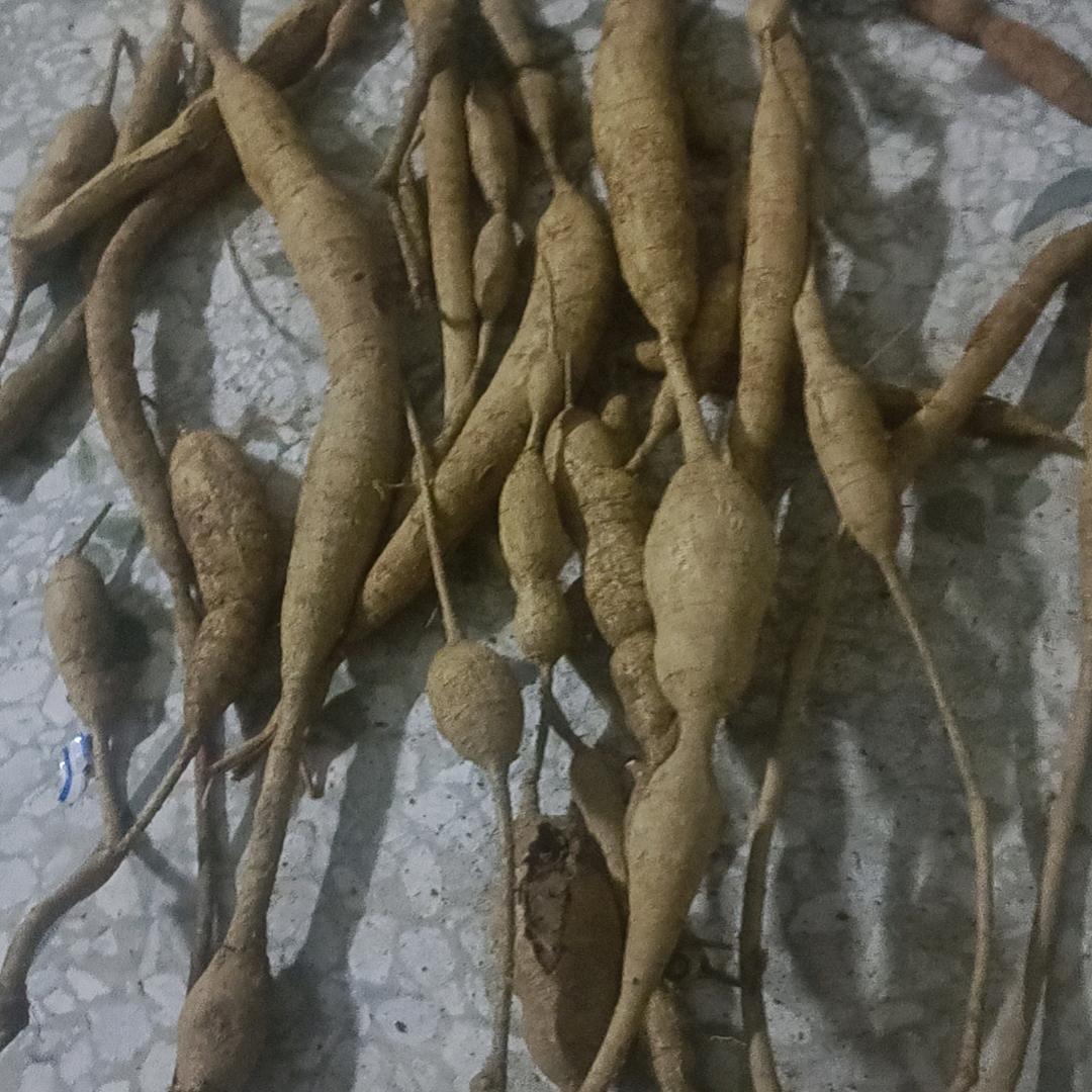 吴小伙☞☞户外