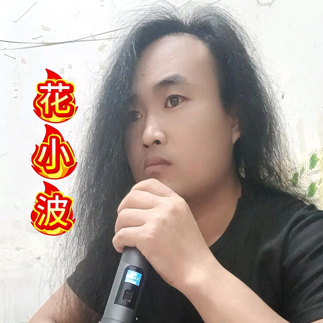 花小波《新歌》