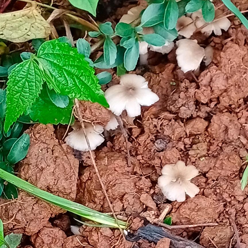 忘不了过去关注了你