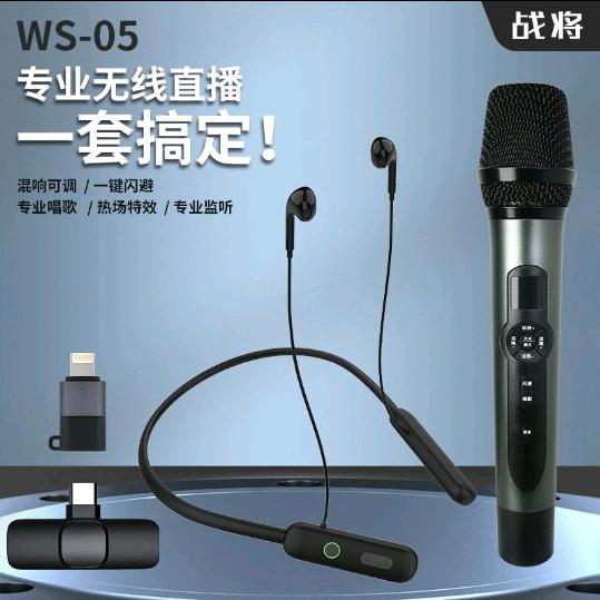 疯狂歌，麦克风