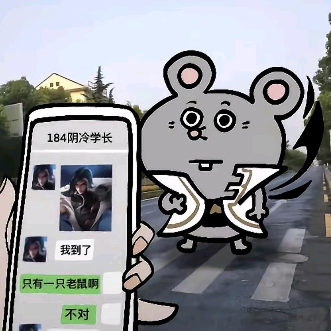 小石头