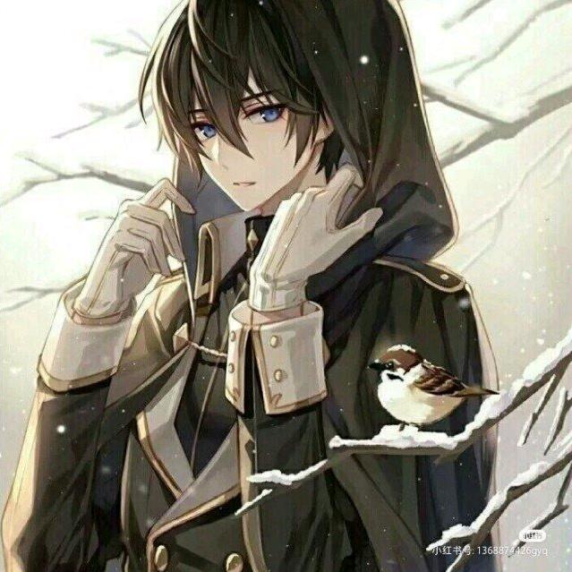 风尘落世（举报过丁柯版）