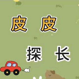 皮皮探长