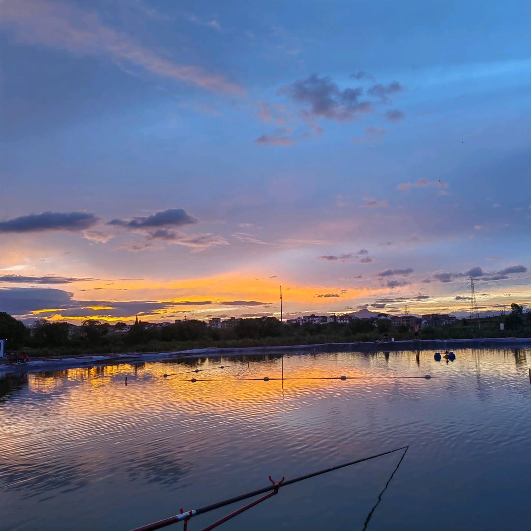 陇头朱大物垂钓场