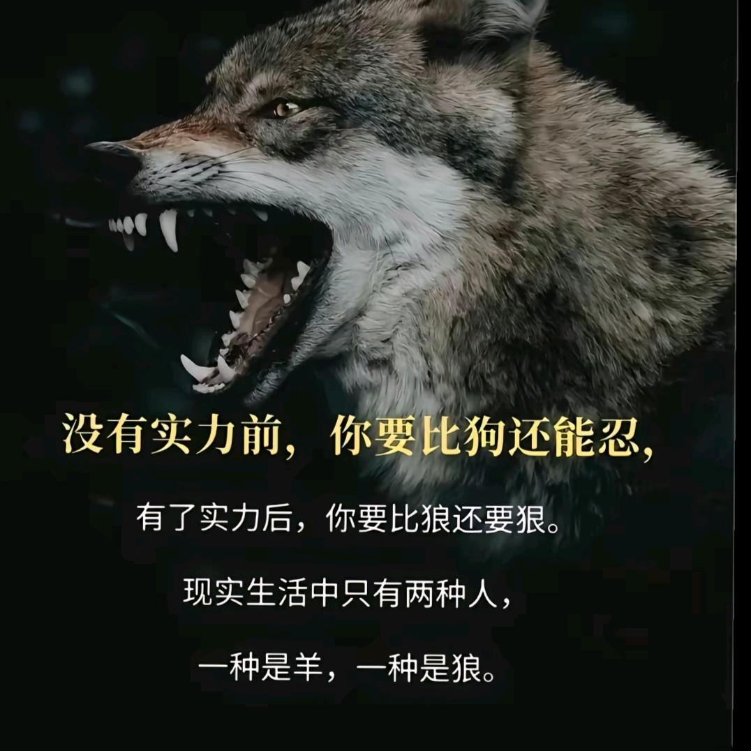 静水深流