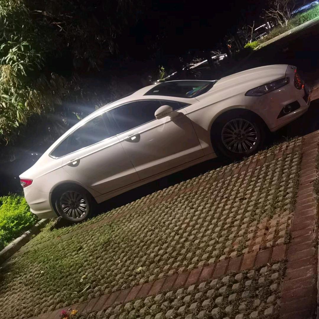 ℳঞ戴刺的ꦿᩚ玫瑰