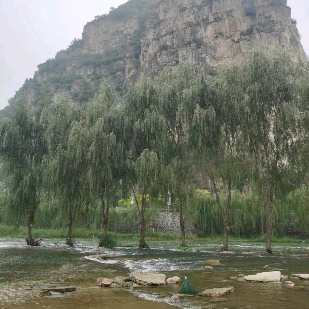 同源福·羊蝎子火锅官方号