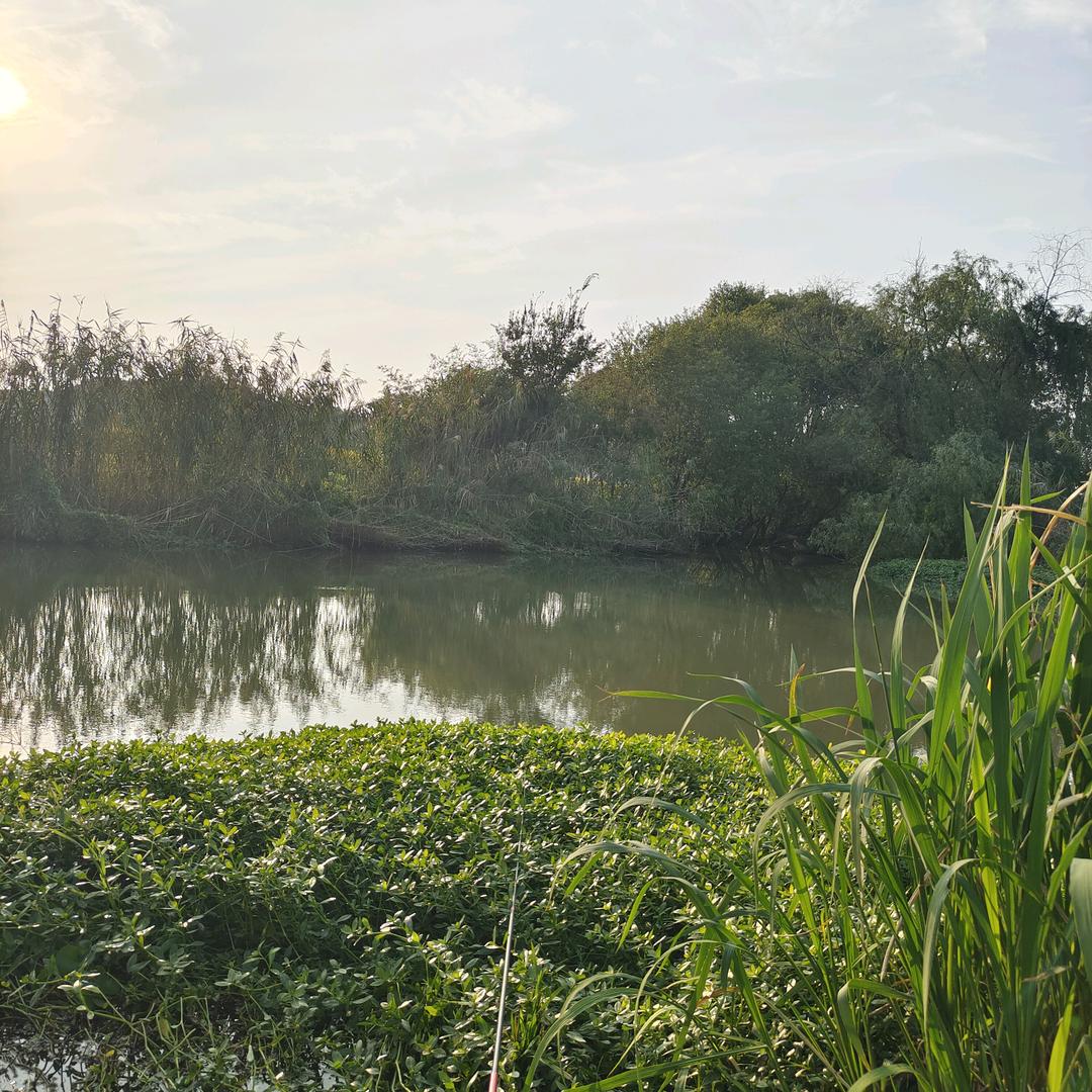 包不同