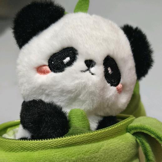 啾啾