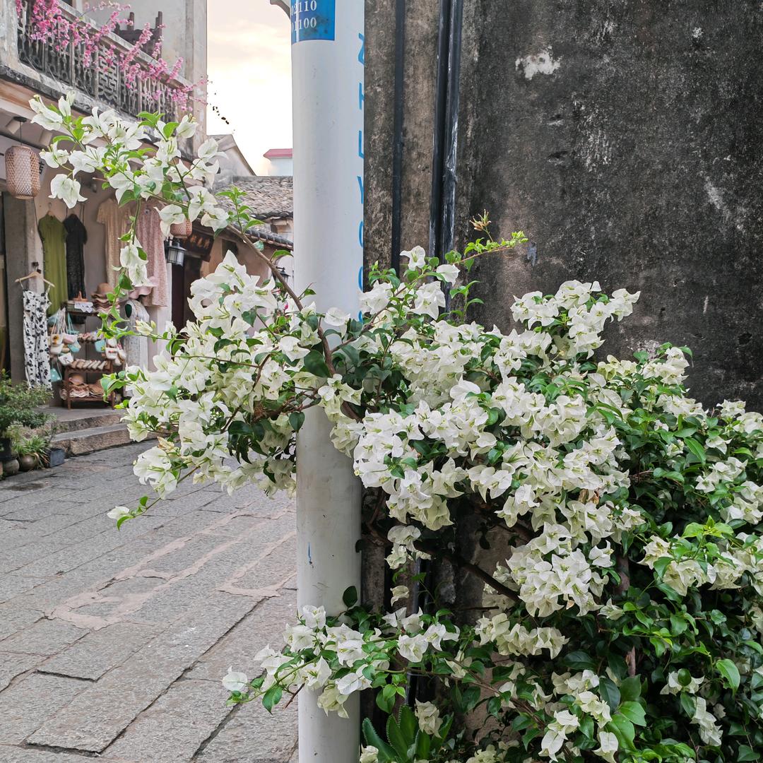随心随意