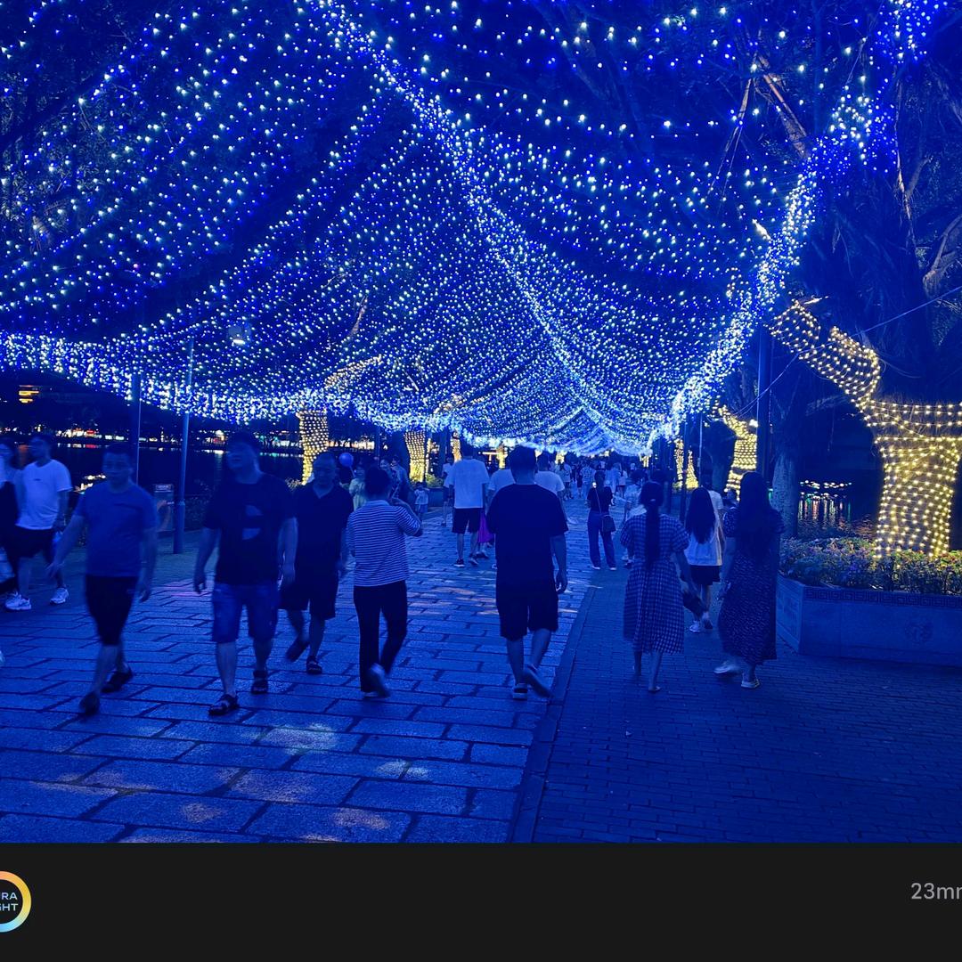 小笼包  红烧排骨  红烧猪蹄