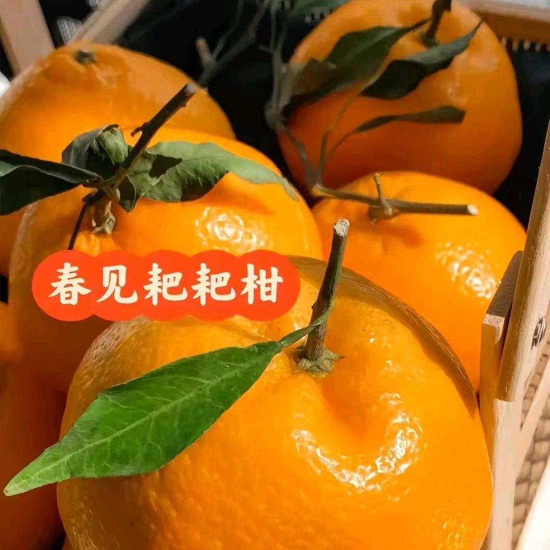 卫凯子宝贝