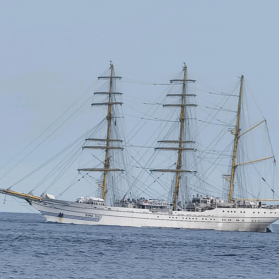 牛🐮🐮牛✔️金🌺🌺花