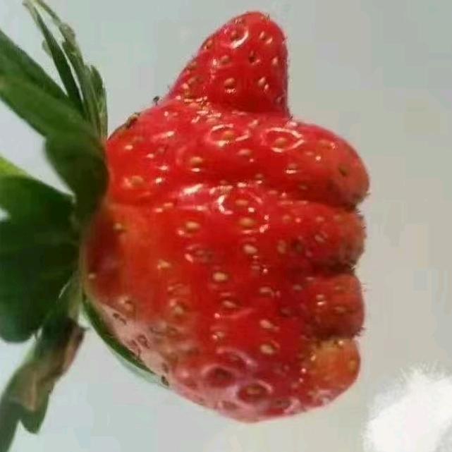 玖千柒文案馆