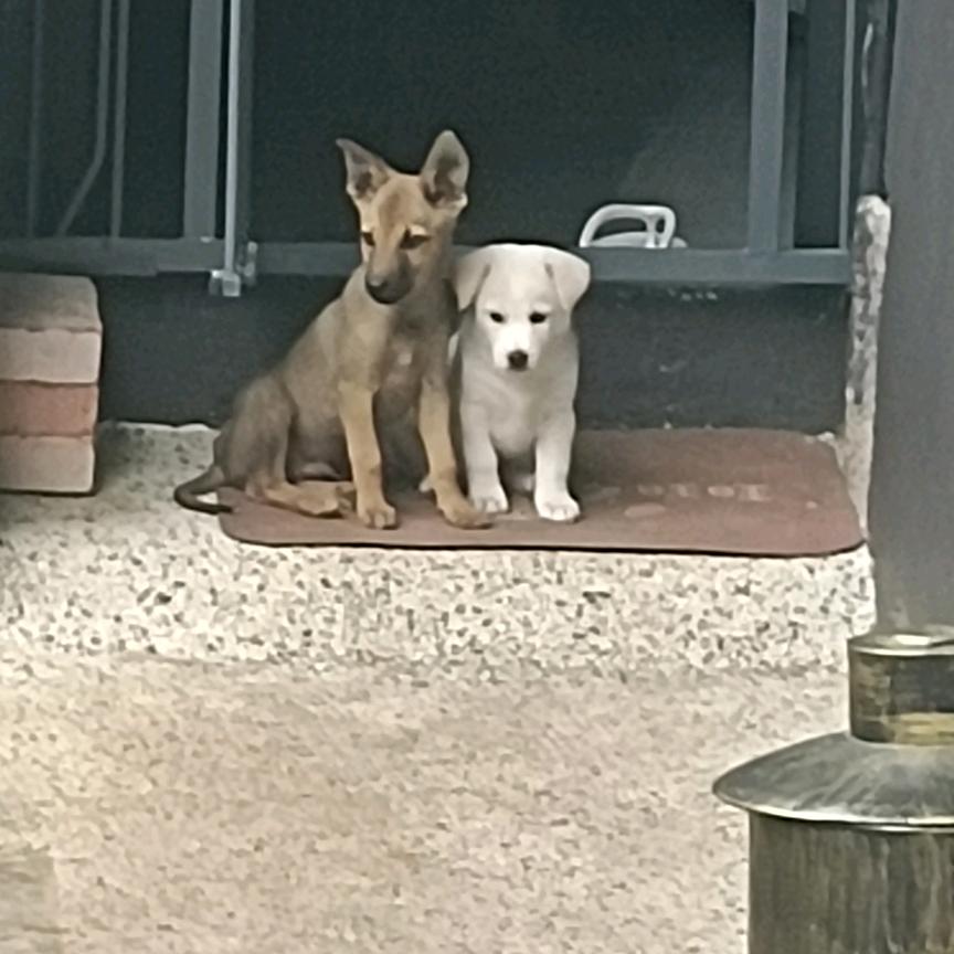 小那姐