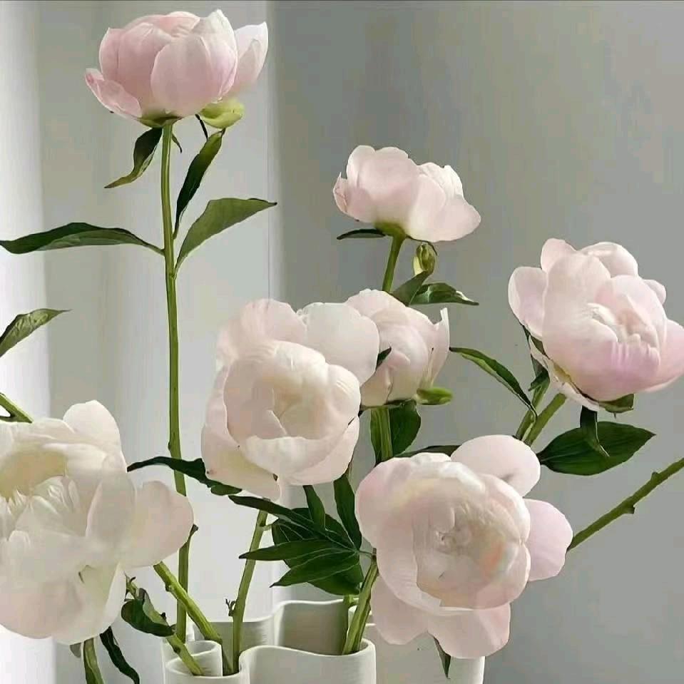 陈